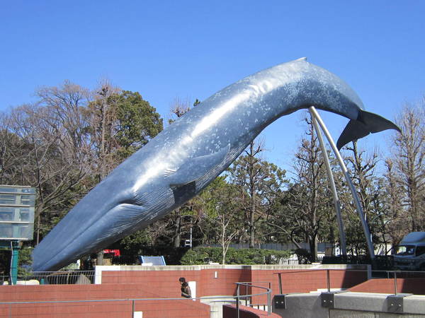 e0262977_21593390.jpg