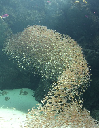f0230777_166395.jpg