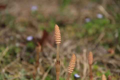 a0222494_17511963.jpg