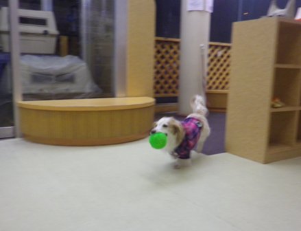 f0077697_18481273.jpg