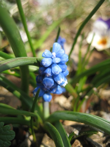 f0201297_12542546.jpg