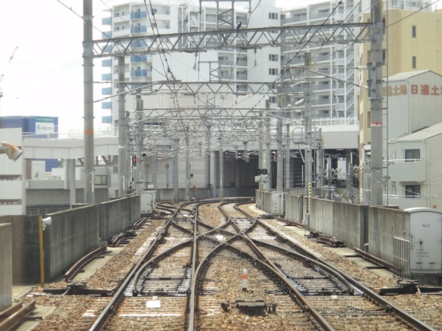 d0004301_1165927.jpg