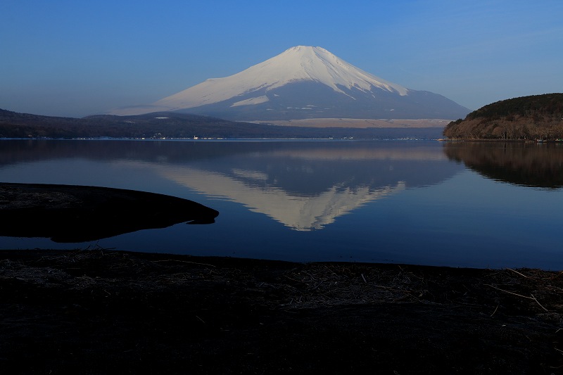 a0188405_79215.jpg
