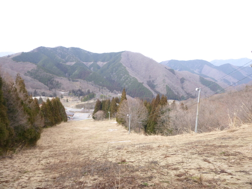 d0170615_19572012.jpg