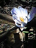 e0182926_12211582.jpg