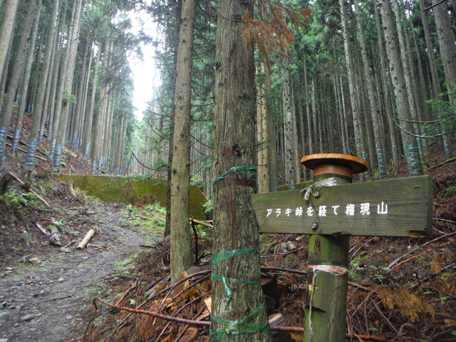 b0136931_18472414.jpg