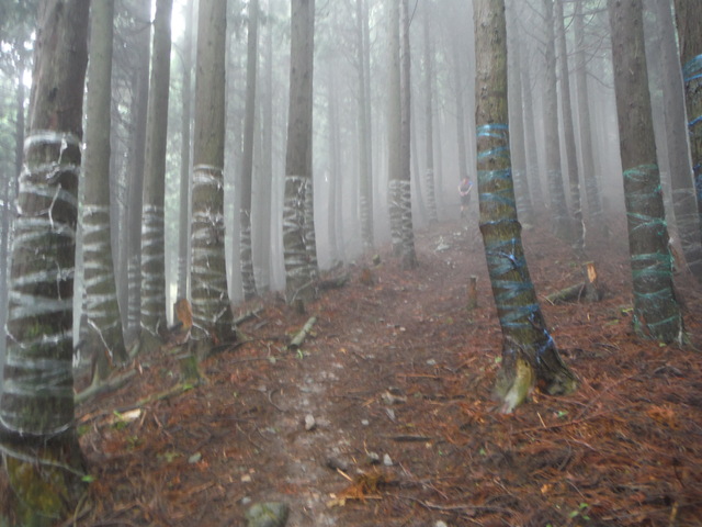 b0136931_18482759.jpg