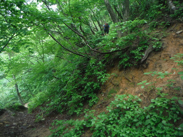 b0136931_18551410.jpg