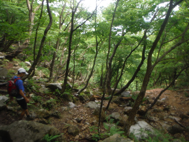 b0136931_18564781.jpg