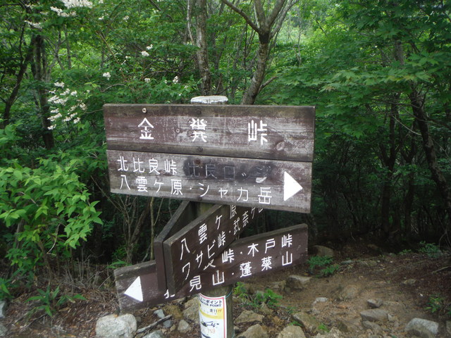 b0136931_1856764.jpg