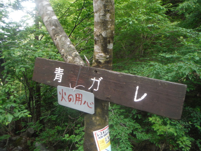 b0136931_18575771.jpg