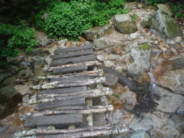 b0136931_18584885.jpg