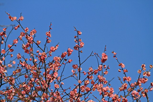 a0242438_1772189.jpg