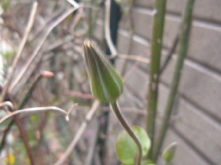 c0025140_22271737.jpg
