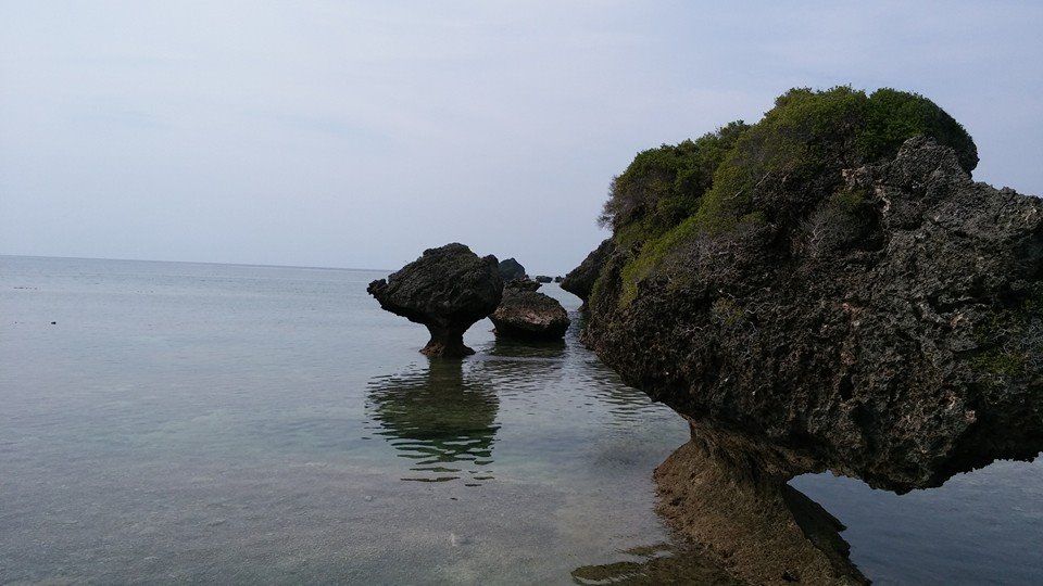b0002156_23113613.jpg