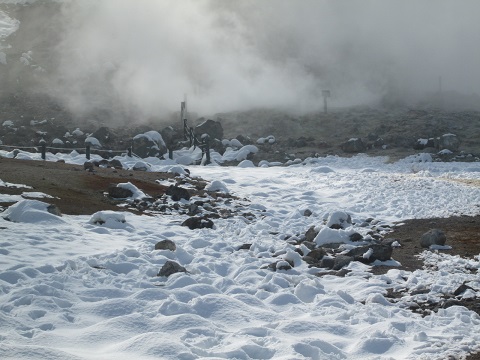 d0029363_933273.jpg
