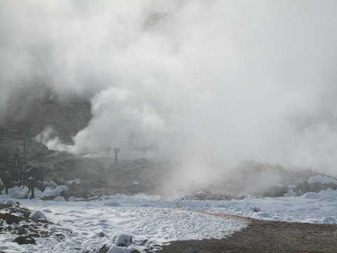 d0029363_9361436.jpg