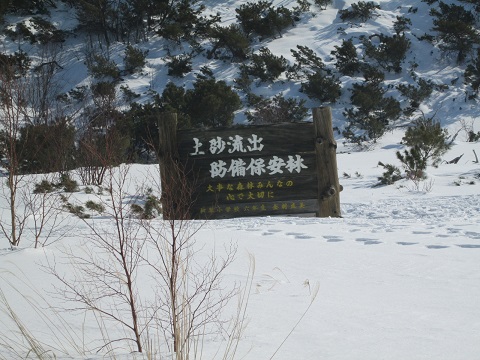d0029363_9365319.jpg