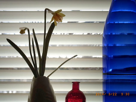 b0075364_22373757.jpg