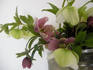 e0204865_1191242.jpg
