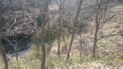 b0315366_2215130.jpg