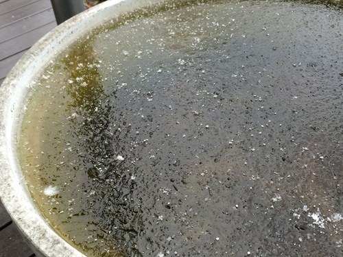 e0151566_23102919.jpg