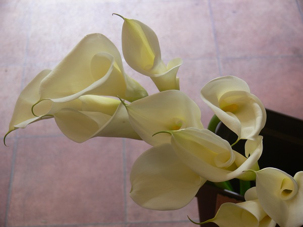 e0140986_13515547.jpg