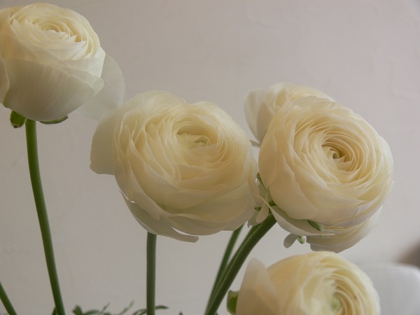 e0140986_1452481.jpg