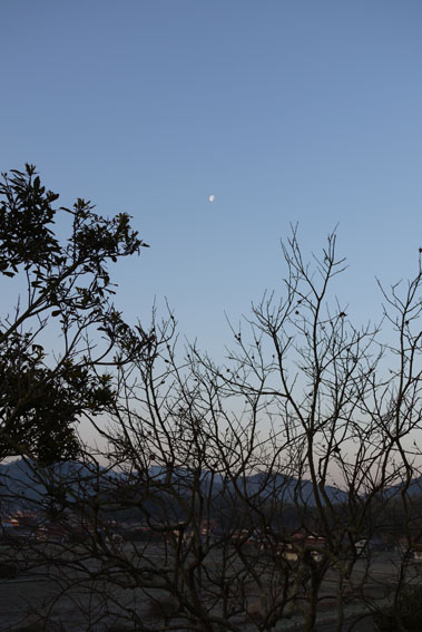 f0222692_8281884.jpg