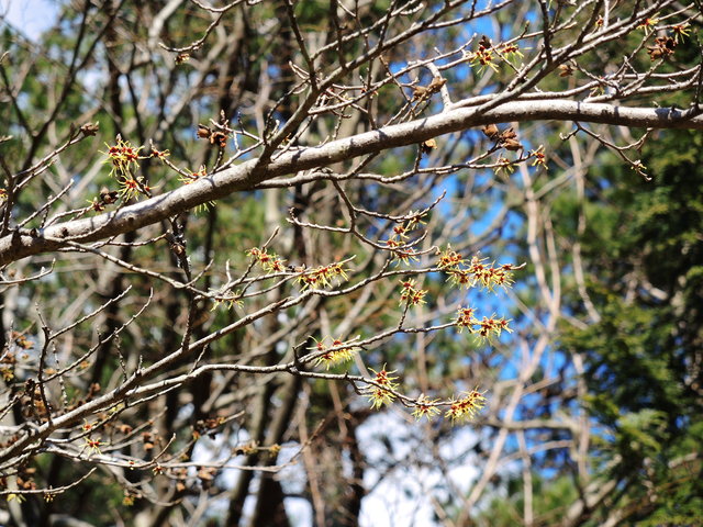 f0100593_21343399.jpg