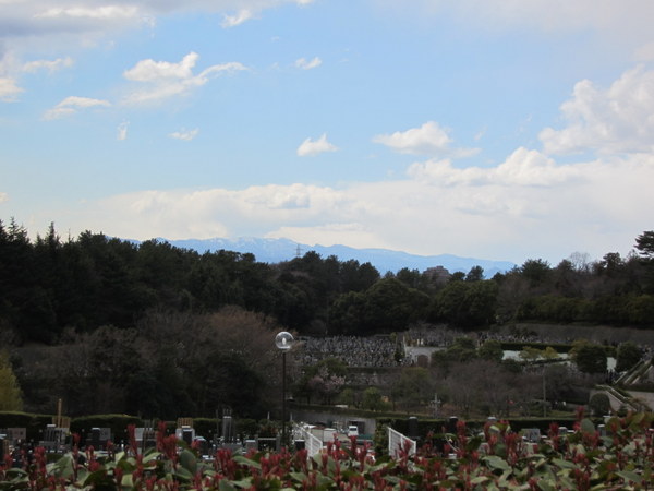 d0098295_239407.jpg