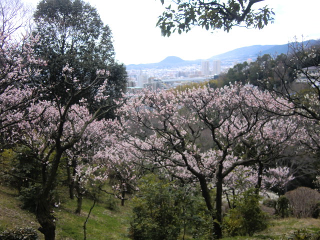 b0044296_23553694.jpg