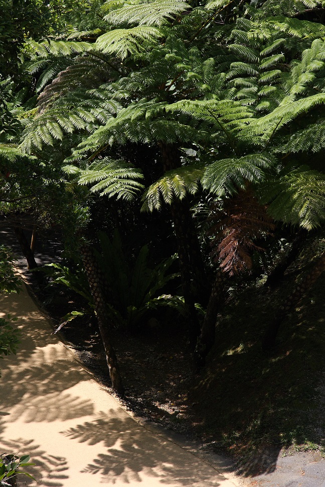 d0136804_1603228.jpg