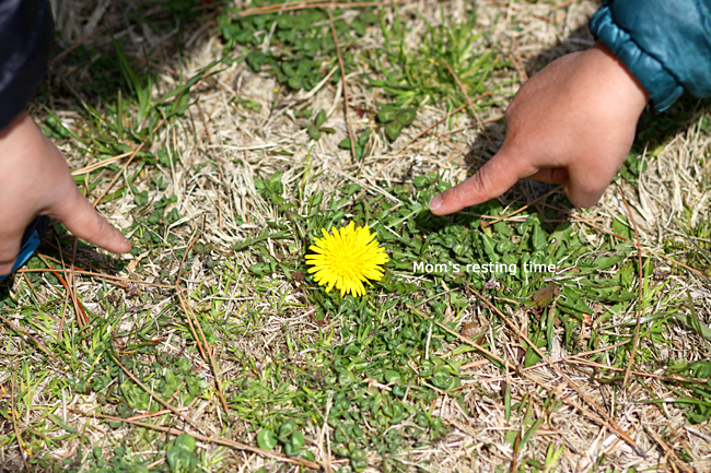 d0157704_19132899.jpg