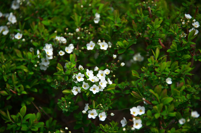 a0263109_1631169.jpg