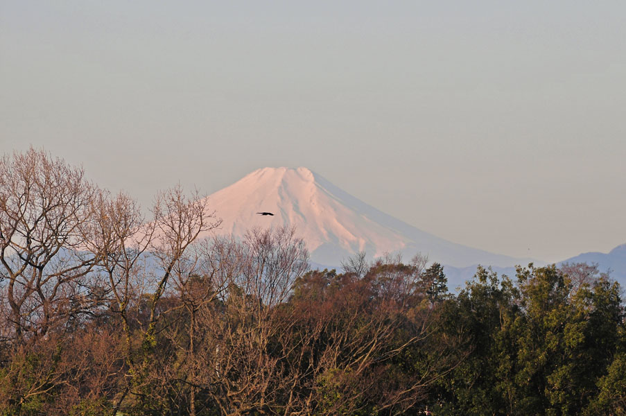 f0206417_10474365.jpg