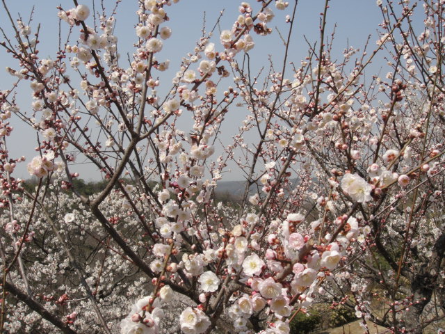 a0239418_14141083.jpg