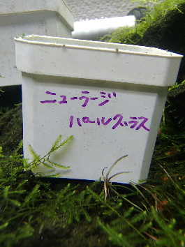 d0212519_005910.jpg