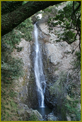 e0284019_1305487.jpg