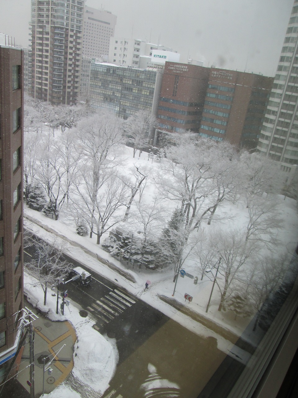 d0159325_14245002.jpg