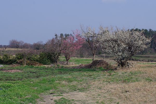 f0007926_13373561.jpg