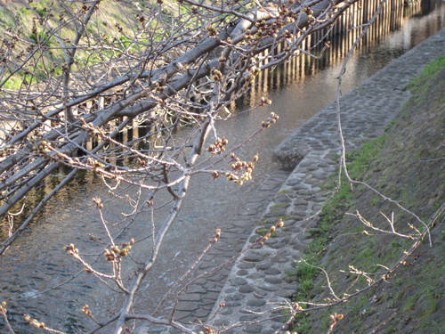f0136828_1831238.jpg