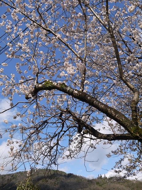 f0231829_12093348.jpg