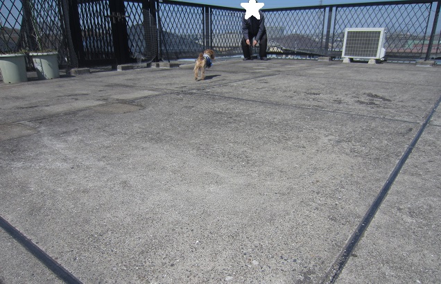 f0002833_14452149.jpg