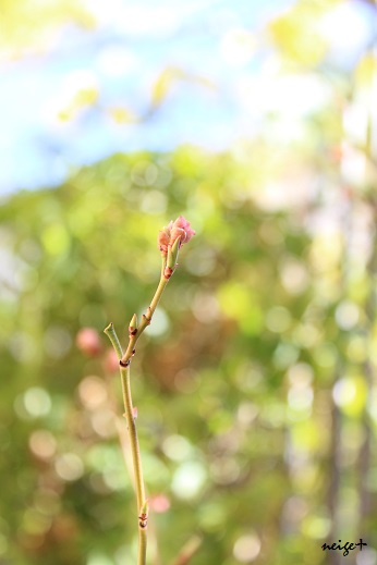 f0023333_09300649.jpg