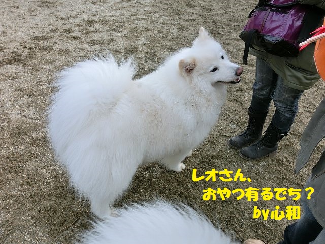e0196135_19305672.jpg