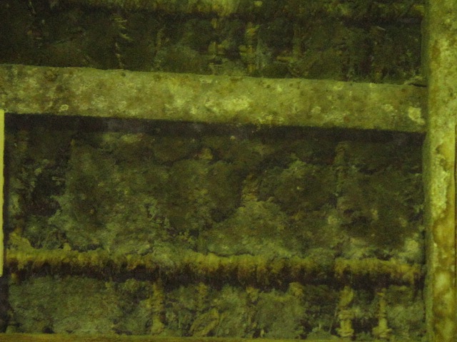 f0208737_811032.jpg