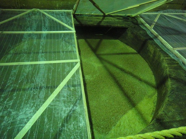 f0208737_8121032.jpg