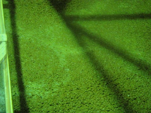 f0208737_8124134.jpg