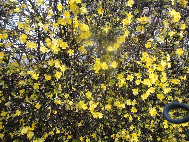 f0208737_8195792.jpg